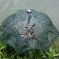 thumbnail image 1 of Fish Cage, Durable Fish Trap, Outdoor For Fish Crayfish Crab Shrimp, 1 of 8
