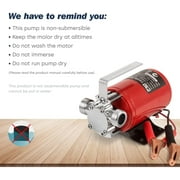 PROSTORMER 1/10HP 12V Mini Portable Water Pump, 350GPH DC Utility Pump, Electric Transfer Pump, Utility Pump with Hose Kit