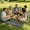 🔥 Green_Hot#578, variant on Waterproof Picnic Blanket 78" x 55" Portable Foldable Outdoor Camping Beach Mat for 3–5 People, Lightweight Polyester, Sandproof and Moisture-Proof