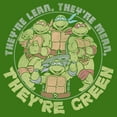 thumbnail image 2 of Men's Teenage Mutant Ninja Turtles They're Lean, They're Green Graphic Tee Kelly Green X Large, 2 of 5