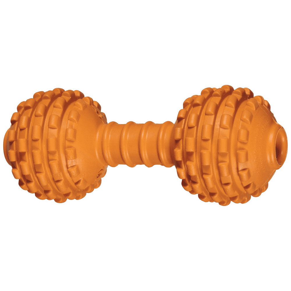 Jw Chompion Heavyweight Durable Rubber Dog Chew Toys