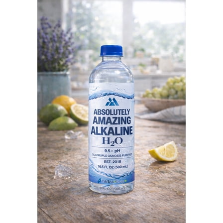 Absolutely Amazing Alkaline H2O premium pure alkaline drinking water- 16.9 oz Bottle (9.5  PhB)
