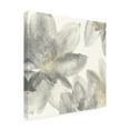thumbnail image 3 of Trademark Fine Art Chris Paschke Gray and Silver Flowers I Canvas Wall Art - 24x24, 3 of 5