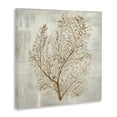 thumbnail image 3 of Stupell Industries Beige Tides Botanical Canvas Wall Art design by Hannah Dawson, 24 x 24, 3 of 7