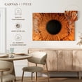thumbnail image 5 of Elephant Stock Magnified Human Eye Wall Art - Horizontal Canvas Wall Art - Living Room Wall Decor - Profession Canvas - Brown And Black Decor - 12" x 8", 5 of 8