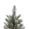 thumbnail image 6 of 7 ft. Pre Lit Clear Incandescent Natural Cut Lightly Flocked Artic Pine, 6 of 7