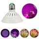 thumbnail image 4 of E27 200led Grow Light Veg Flower Indoor Plant Hydroponics Full Spectrum Lamp, 4 of 5