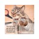 thumbnail image 4 of Cortauñas profesional para perros y gatos, herramienta para mascotas, para animales y gatos, 4 of 5