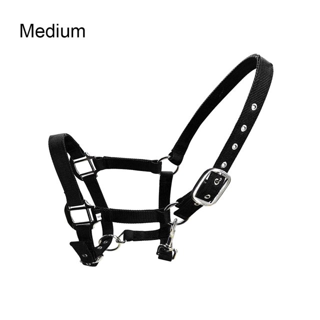 tredstone Rembourré Licol Poney Bride Tête Collier Grande Résilience Protection Équipement Cheval Fournitures Solidité Tête de Course Selle Pad Noir M