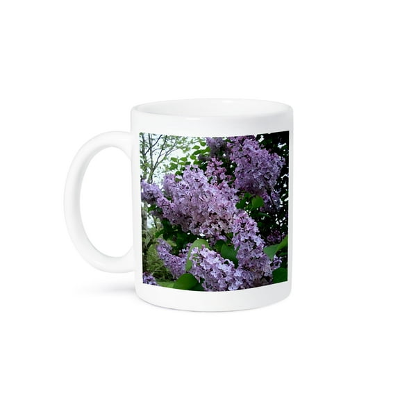 3dRose, Lilac, 11oz Mug