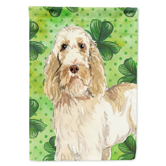 Carolines Treasures CK1786CHF Shamrocks Spinone Italiano Flag Canvas House Size  Large multicolor
