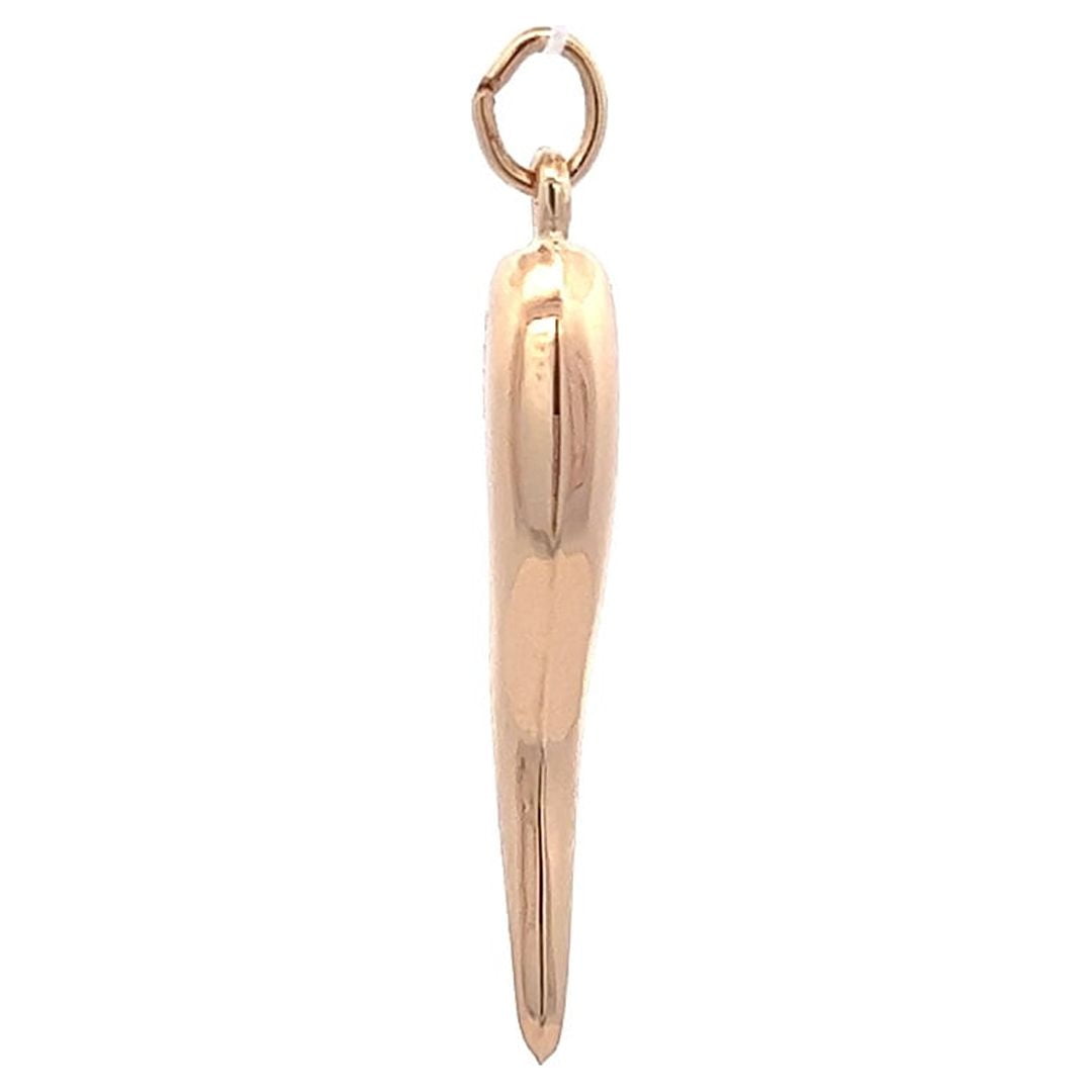 Brilliance Fine Jewelry 14 KT Yellow Gold Italian Horn Pendant
