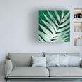 thumbnail image 3 of Grace Popp 'Velvet Palm II' Canvas Art, 3 of 3
