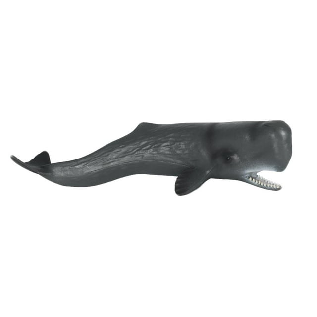 Figuras de ballenas Sunnimix Juguetes educativos marinos