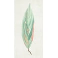 thumbnail image 2 of Woods, Maya 18x32 White Modern Wood Framed Museum Art Print Titled - Ginger Leaf II, 2 of 4