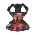 thumbnail image 4 of Bingfone Oil Paintings Of Elephants No Pull Dog Vest Harness For Small Medium Large Dogs Strap For Puppy Walking,Training,Dog Harness-Large, 4 of 9