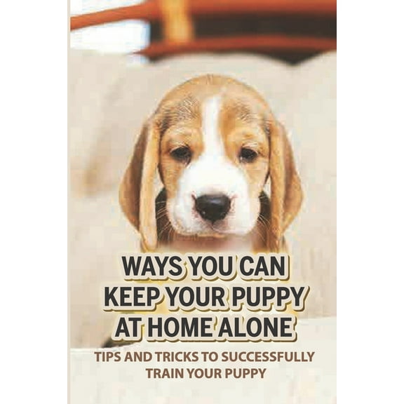 Ways You Can Keep Your Puppy At Home Alone: Tips And Tricks To Successfully Train Your Puppy: How To Teach A Dog To Stay Home Alone (Paperback)