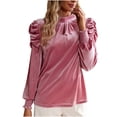 thumbnail image 2 of Spring Tops for Women Homenesgenics Clothes under $5.00 Ladies Fashion Solid Color Long Sleeve Round Neck Frenulum Shirt Woman Velvet/Pink XL, 2 of 6
