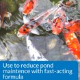 thumbnail image 5 of API Pond Simply Clear, Pond Water Clarifier, 1 Gal, 5 of 8