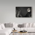 thumbnail image 3 of Trademark Fine Art 'Moon In Black' Canvas Art by Giuseppe Torre, 3 of 3