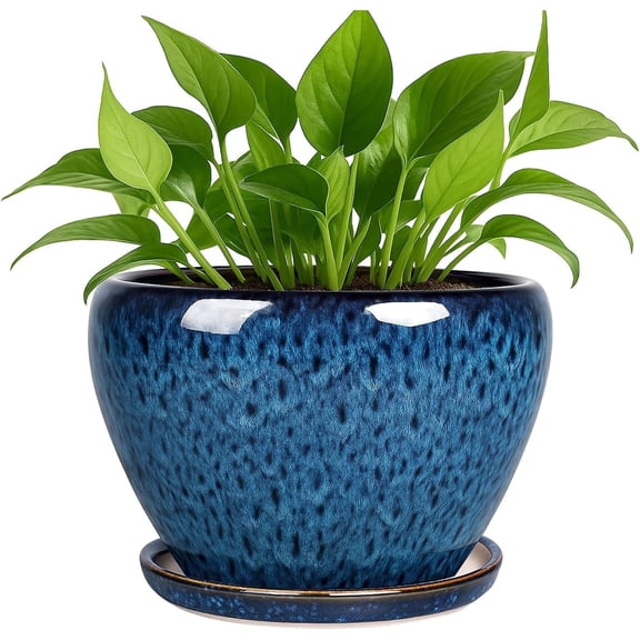 Warmstar 6 Inch Plant Pots- Ceramic Planter Pot with Drainage Hole and Saucer, Round Flower Pot for Indoor Outdoor Succulent, Snake Plants and Cactus, Blue