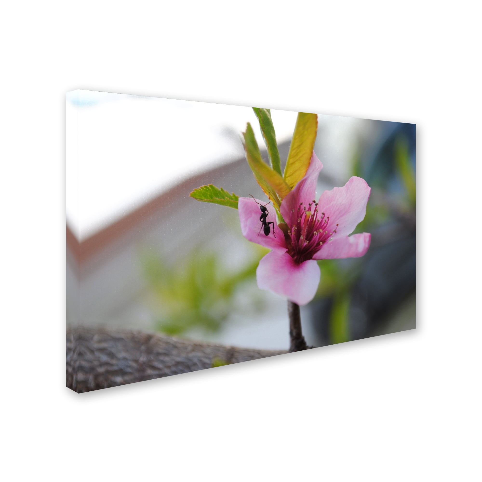 Trademark Fine Art "Expressive Individuality" Canvas Art by Monica Mize