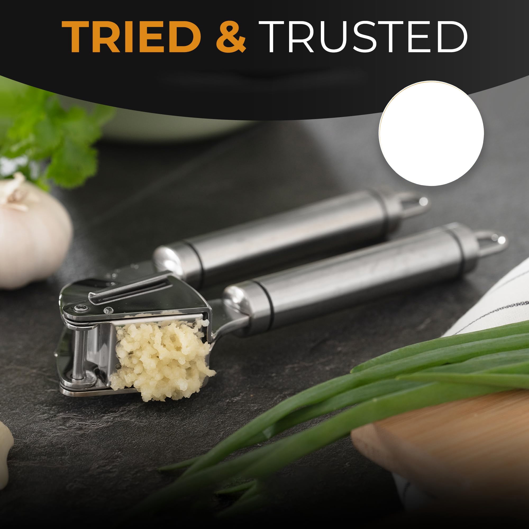 Garlic Press Stainless Steel Professional Heavy Duty Minr Crusher, Ergonomic Handle for Unpeeled Garlic Ginger Root, Easy Clean , Silver