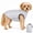 Gray, variant on Pet Life ® 'Pursuit' Quilted Ultra-Plush Thermal Dog Jacket
