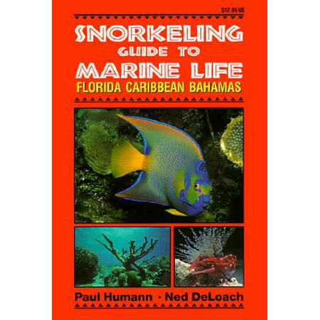Snorkeling Guide to Marine Life Florida, Caribbean, (Best Caribbean Snorkeling Destinations)