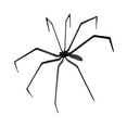 thumbnail image 3 of Miulika Halloween Decorations Giant Spider Huge Spider,Realistic,Lightweight,Collectible,Realistic Animal Toy for Yard Indoor Outdoor, 3 of 9