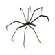 thumbnail image 3 of Decoración de araña de Halloween, adorno, aterrador, accesorio decorativo, juguete de animal realista para pared interior y exterior, patio, porche,, 3 of 8
