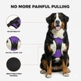 thumbnail image 5 of No Pull Dog Harness with Free Heavy Duty Leash, Adjustable Soft Padded Dog Vest, No-Choke Oxford Vest for Large Dogs (Purple), 5 of 7