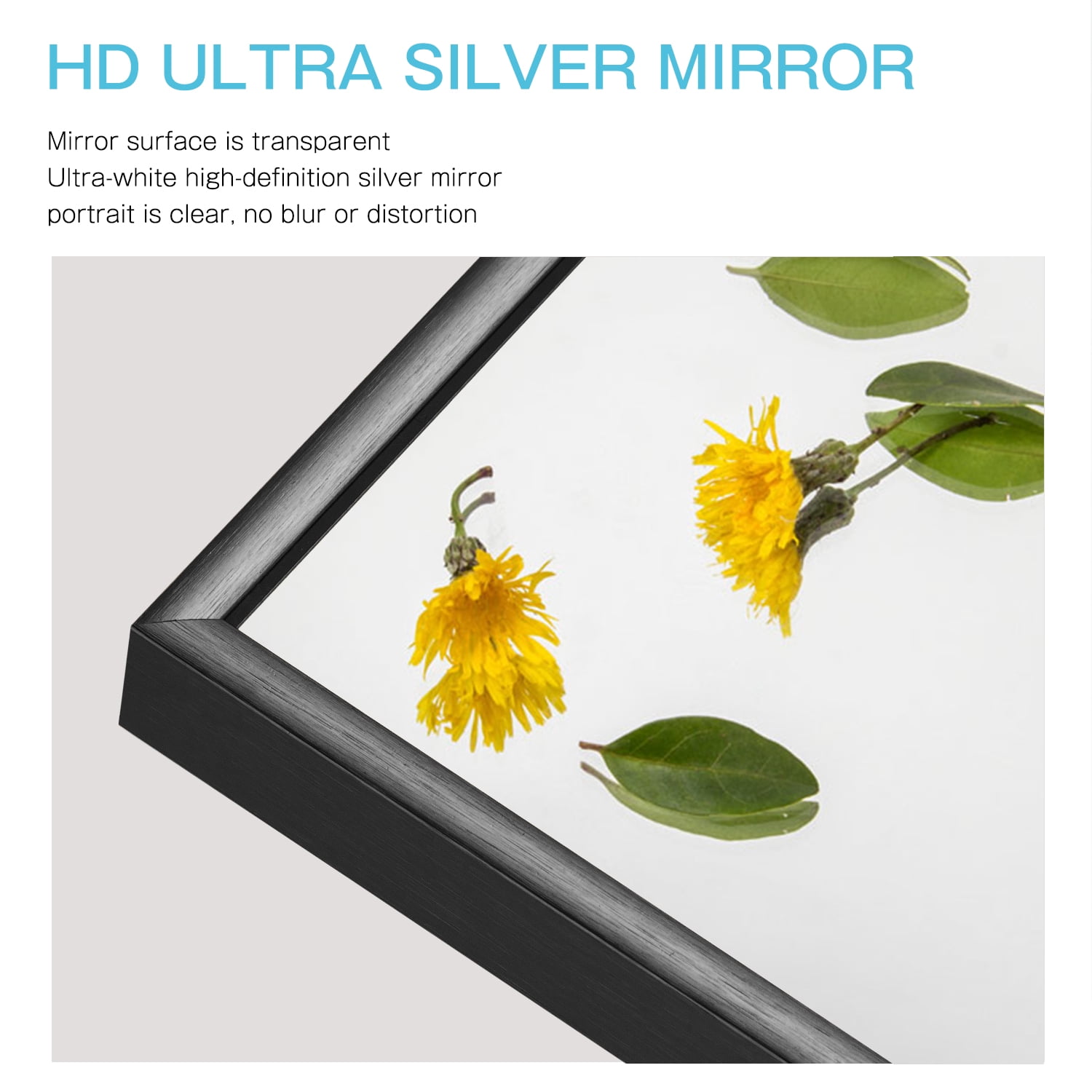 71"x32" Black Modern Full Length Mirror