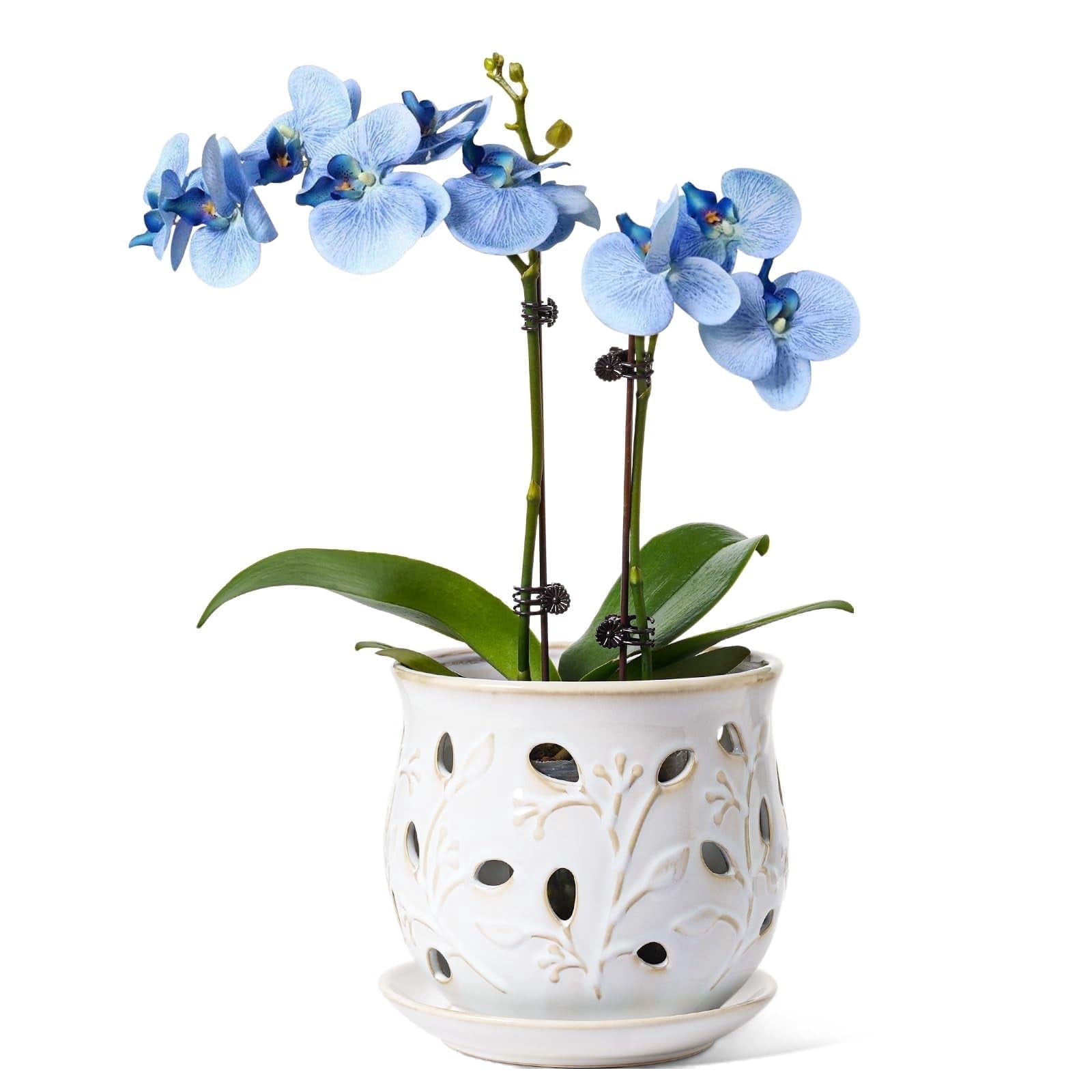 LE TAUCI Ceramic Orchid Pot,6.5" Ceramic Plant Pot with Holes and Saucer,Indoor Flower Pot for Orchid Repotting & Growing,Arctic White (Plant not included)