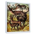 thumbnail image 3 of Designart 'Old-world Mammals I' Farmhouse Framed Canvas Wall Art Print, 3 of 5