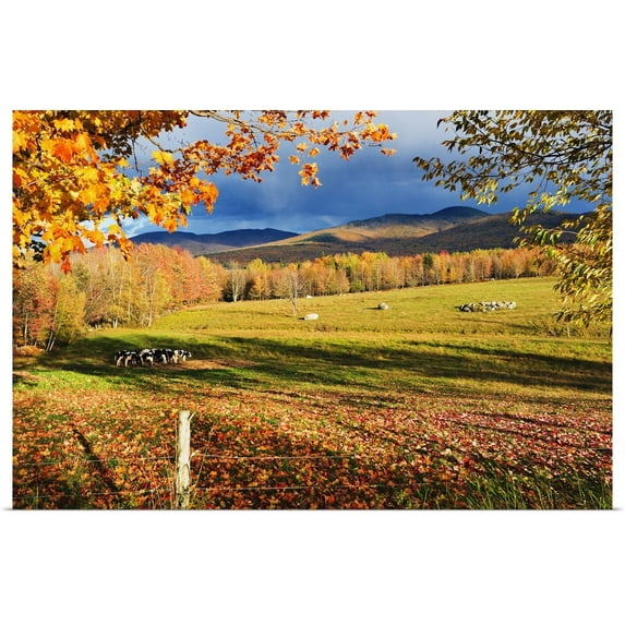 Great BIG Canvas | "Fall Colours, Cows In Field And Mont Sutton, Sutton, Quebec, Canada" Art Print - 24x16