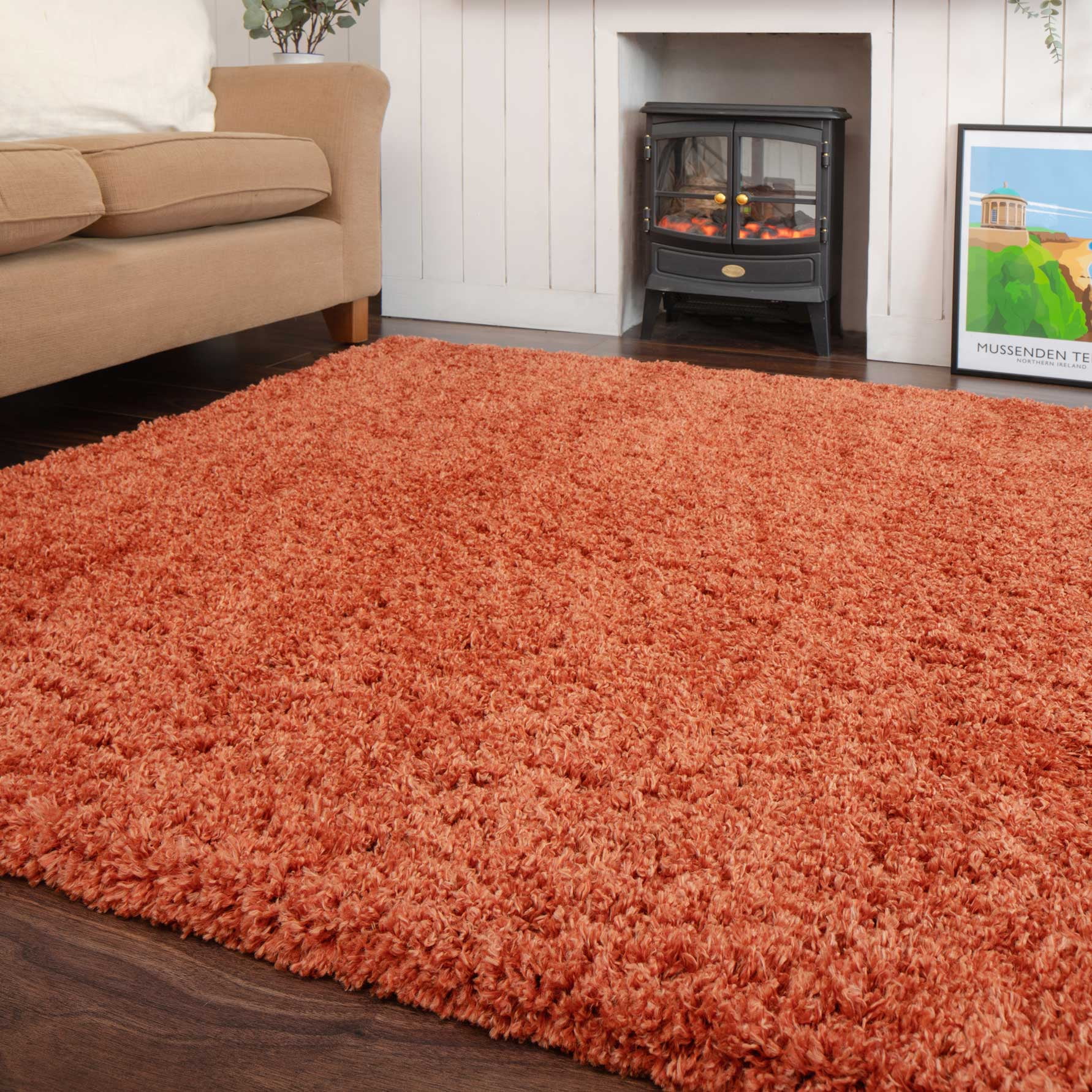 Kukoon Rugs Super Soft Terracotta Orange Shaggy Area Rug