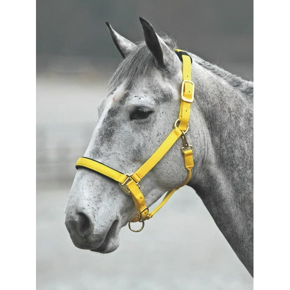Shires Collier de Tête en Nylon Topaze Cuir
