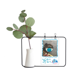 thumbnail image 1 of Jarrones colgantes de vidrio transparente Unbranded Decoración Mascota espejo enojado, 1 of 4