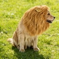thumbnail image 5 of Funny Animal Hat For Transform Your Dog Into An Adorable Creature, 5 of 5