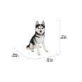thumbnail image 2 of Garden Decor Animal Statue Large Black & White Siberian Husky Sitting, 2 of 4