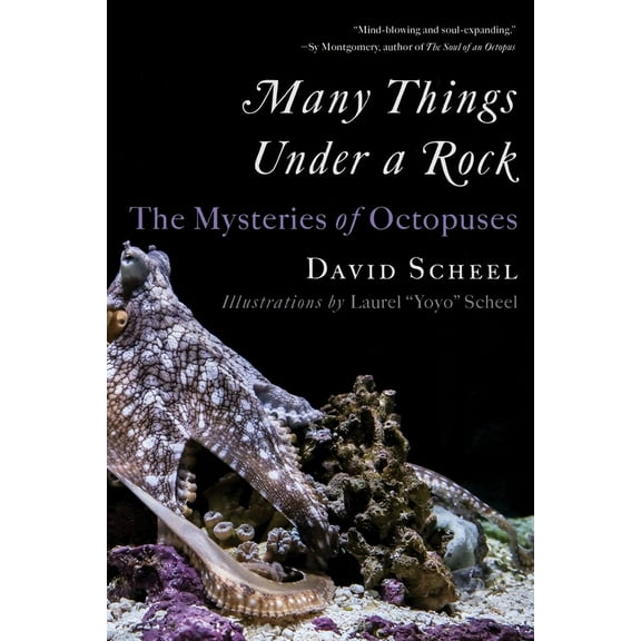 Many Things Under a Rock: The Mysteries of Octopuses, (Paperback)
