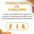 thumbnail image 3 of CurcuminRich Theracurmin by Natural Factors, Turmeric, 60 Capsules (60 servings), 3 of 10