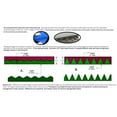 thumbnail image 4 of Span America Mattress Overlay Pressure Redistribution Type 34 X 72 X 1-1/4 Inch Foam White For Bed Mattresses SP35S-000, 4 of 5
