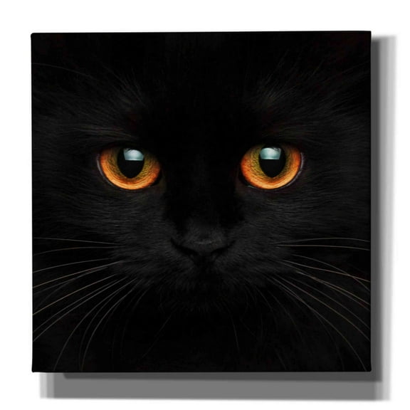 Epic Graffiti 'Hunter' by Epic Portfolio Giclee Canvas Wall Art, 12"x12"