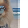 thumbnail image 4 of Olliix Beach Dogs Pomeranian Wood & Canvas Fabric Wall Art in Multi-Color, 4 of 8