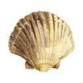thumbnail image 2 of Reed, Tara 12x12 White Modern Wood Framed Museum Art Print Titled - Oceanum Shells white V-Scallop, 2 of 4