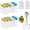 White, Clear, Gold, variant on WuPing Cake Pop Kit - Includes Mold, Display Stand, Clear Wrappers, Lollipop Sticks and Twist Ties