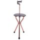 thumbnail image 5 of Portable Folding Walking Stick Cane Stool Pratical for Elderly Going Outside, 5 of 8