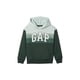 thumbnail image 1 of Sudadera con Capucha GAP Logo Pullover Essex Green Talla M, 1 of 1